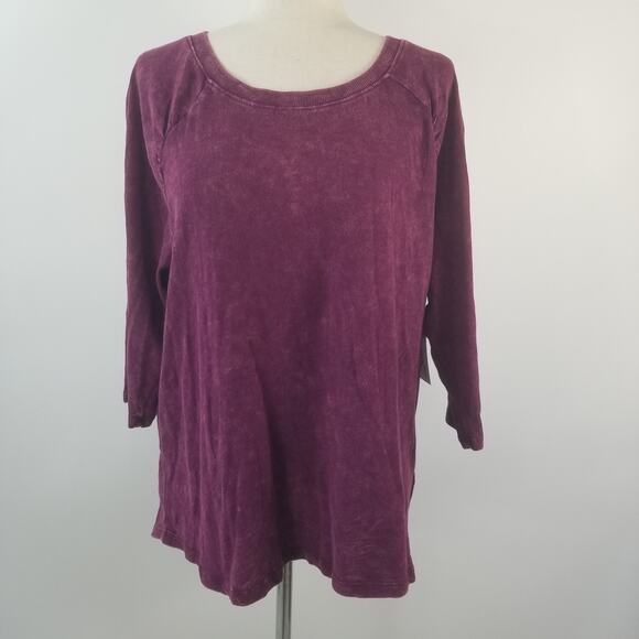 Terra & Sky Tops - Terra Sky Purple Light Sweatshirt Style Long Sleeve Top NEW 1X